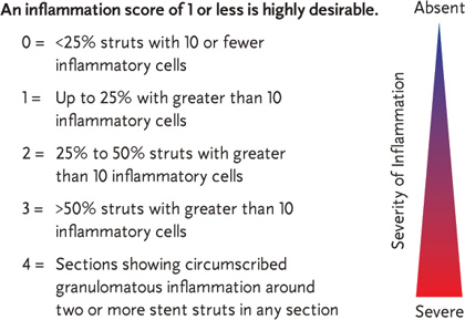 Inflammation Score Key