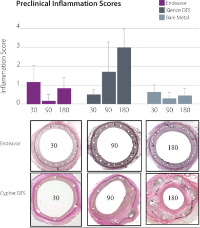 Inflammation Scores: Comparison to 180 Days in a Porcine Model