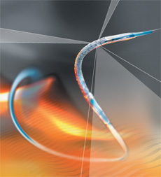 Integrity Coronary Stent System