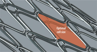 Optimal cell size