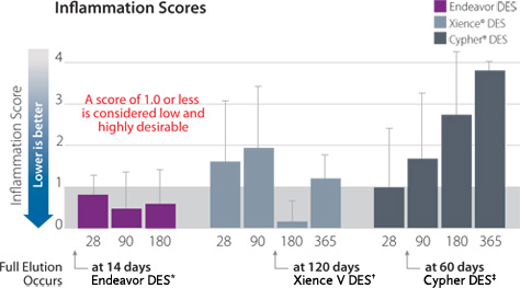 Inflammation Scores